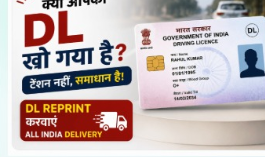 DL Duplicate / PVC Card